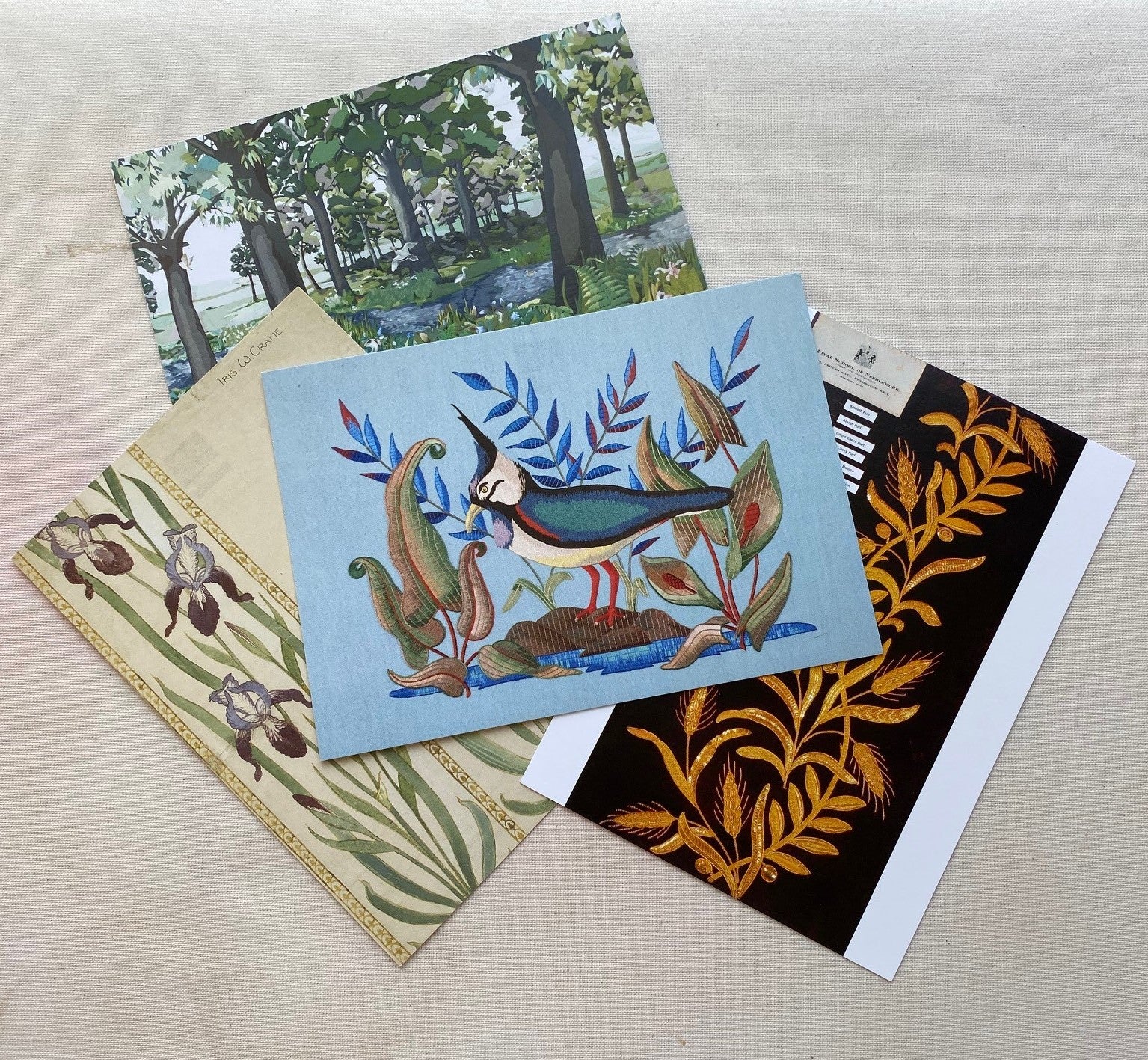Slide image