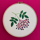 RSN Exclusive Native Wildflower, Elderberry by Natalie Rowe