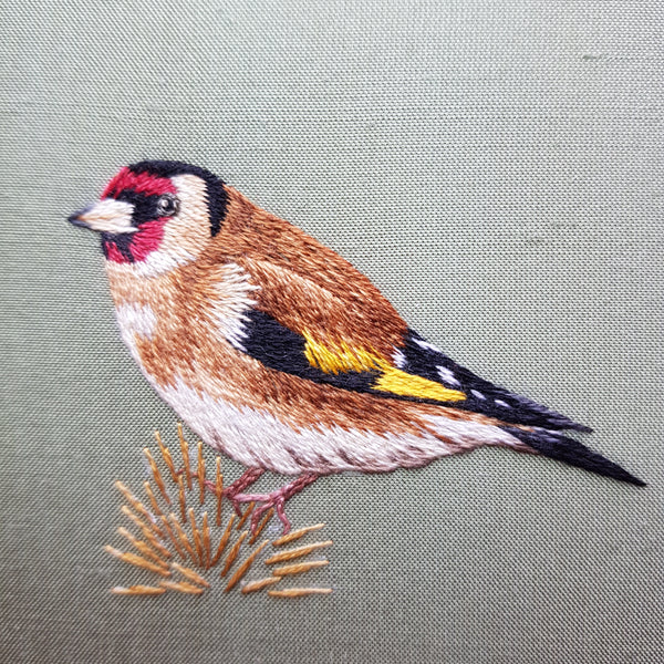 Debra Jackson Bird