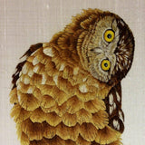 Owl Greetings Card