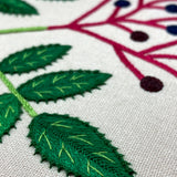 RSN Exclusive Native Wildflower, Elderberry by Natalie Rowe
