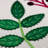RSN Exclusive Native Wildflower, Elderberry by Natalie Rowe