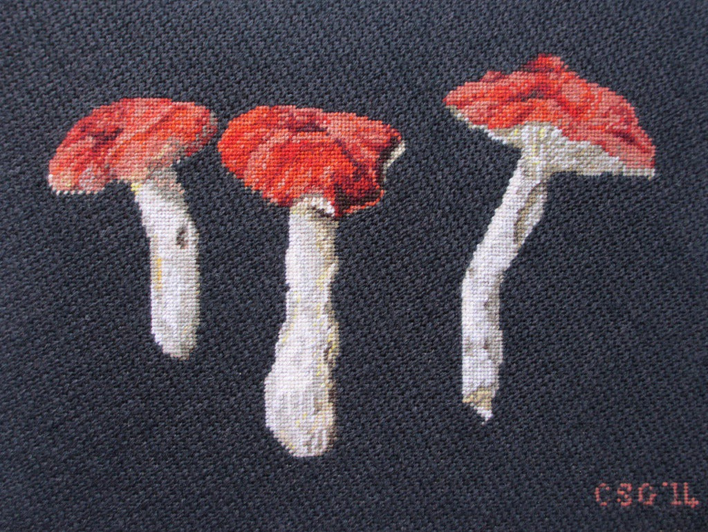 Slide image