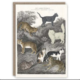 The Pattern Book Vintage Greetings Cards