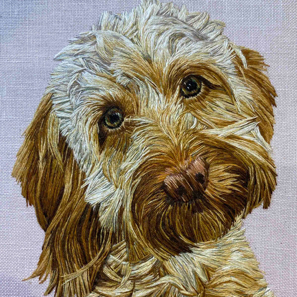 Amanda Rymel DOG