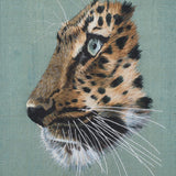 Leopard Greetings Card