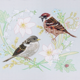 Blossom Hedge Sparrows Embroidery Kit  By Nicola Jarvis
