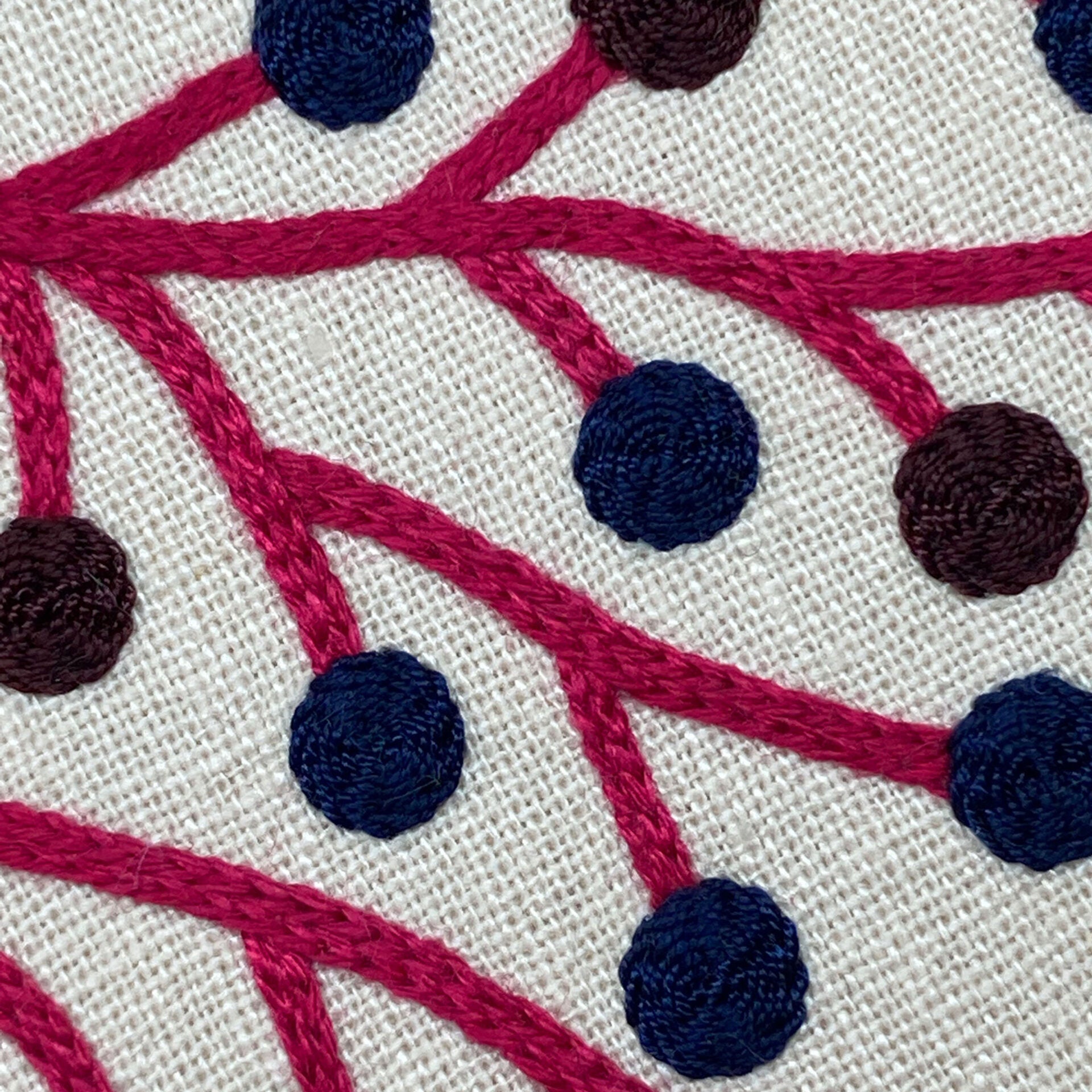 RSN Exclusive Native Wildflower, Elderberry by Natalie Rowe