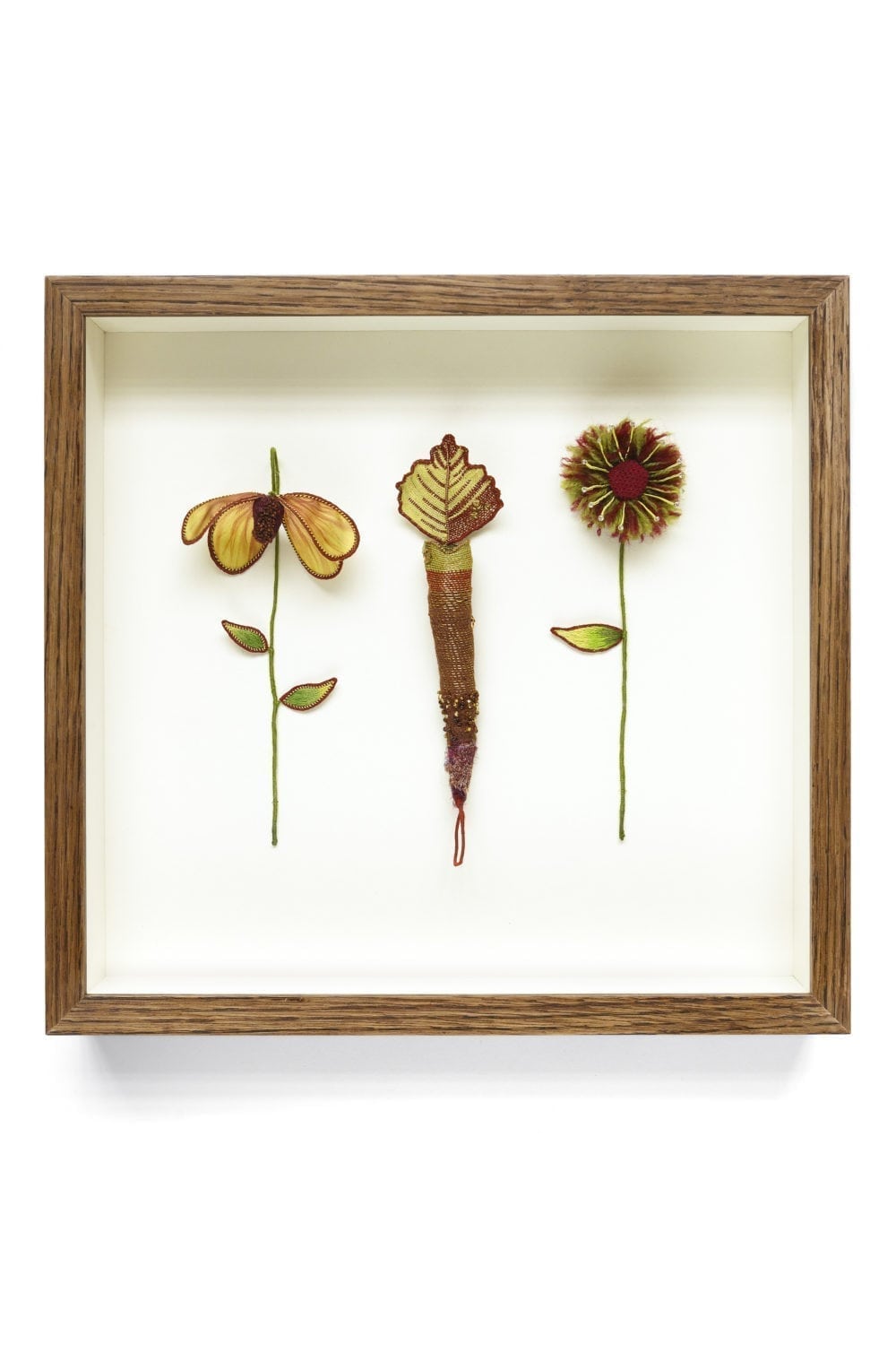 Carnivorous by Holly Coleman