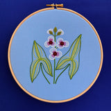 RSN Exclusive Native Wildflower, Arrowhead Kit by Natalie Rowe