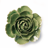 Ceramic Flower Wall/Table Decoration