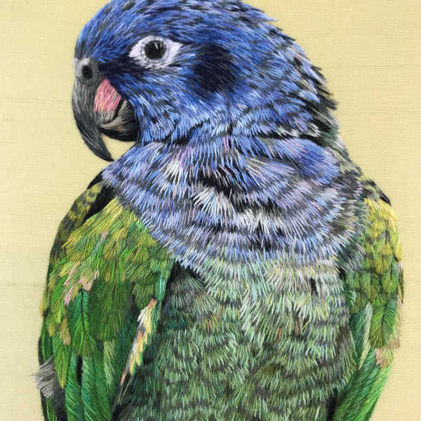 FTP Silk Shaded Animal bird parrot – Natalie Rowe 4