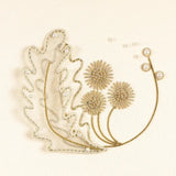 Abstract Botanicals in Goldwork and Raised Work