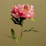 Making Silk Flowers: Peonies with Anne Tomlin