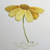 RSN Exclusive: Silk Shaded Daisy Embroidery Kit by Helen Stevens