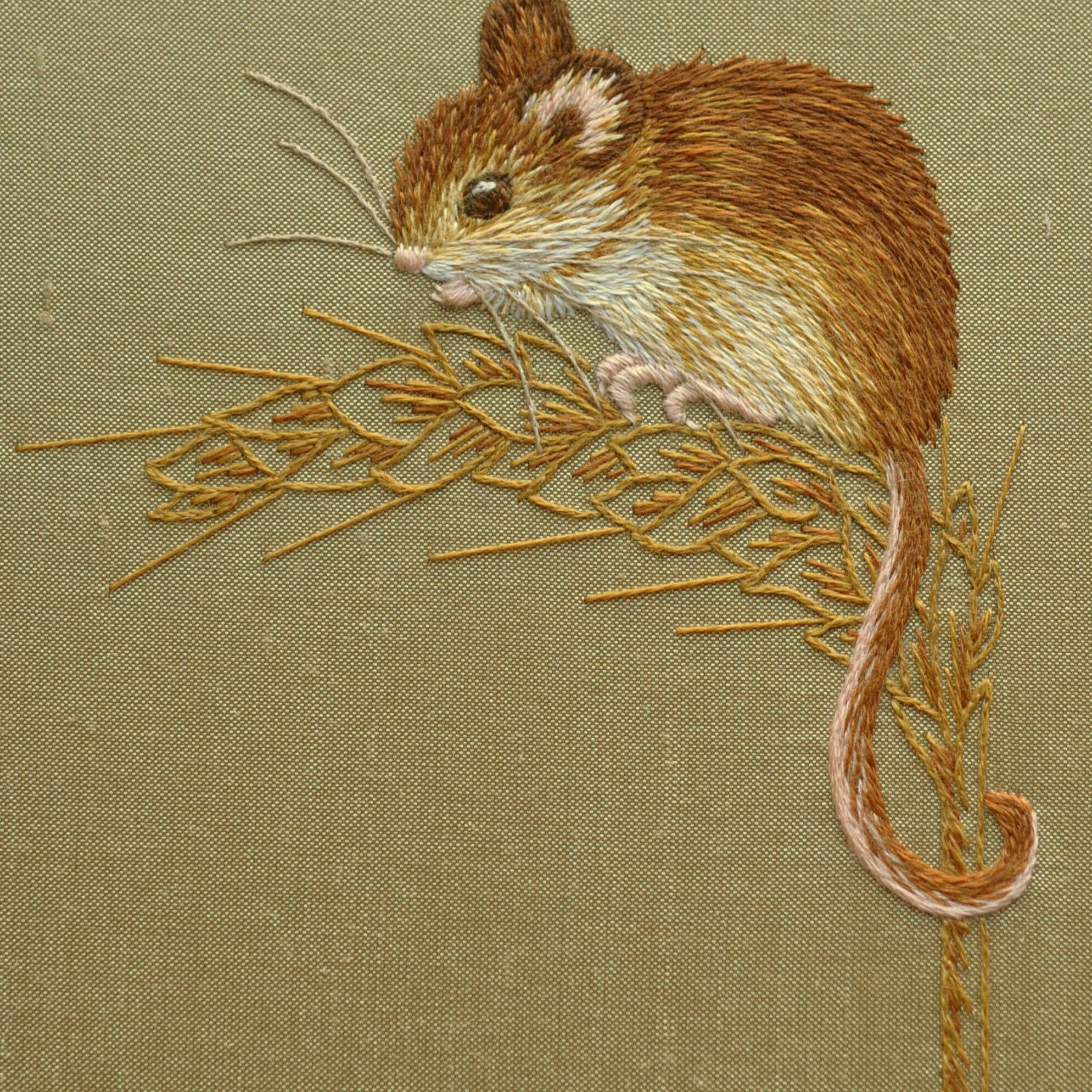 Silk Shading Harvest Mouse with Helen Richman