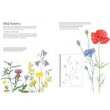 The Kew Book of Botanical Illustration by  Christabel King