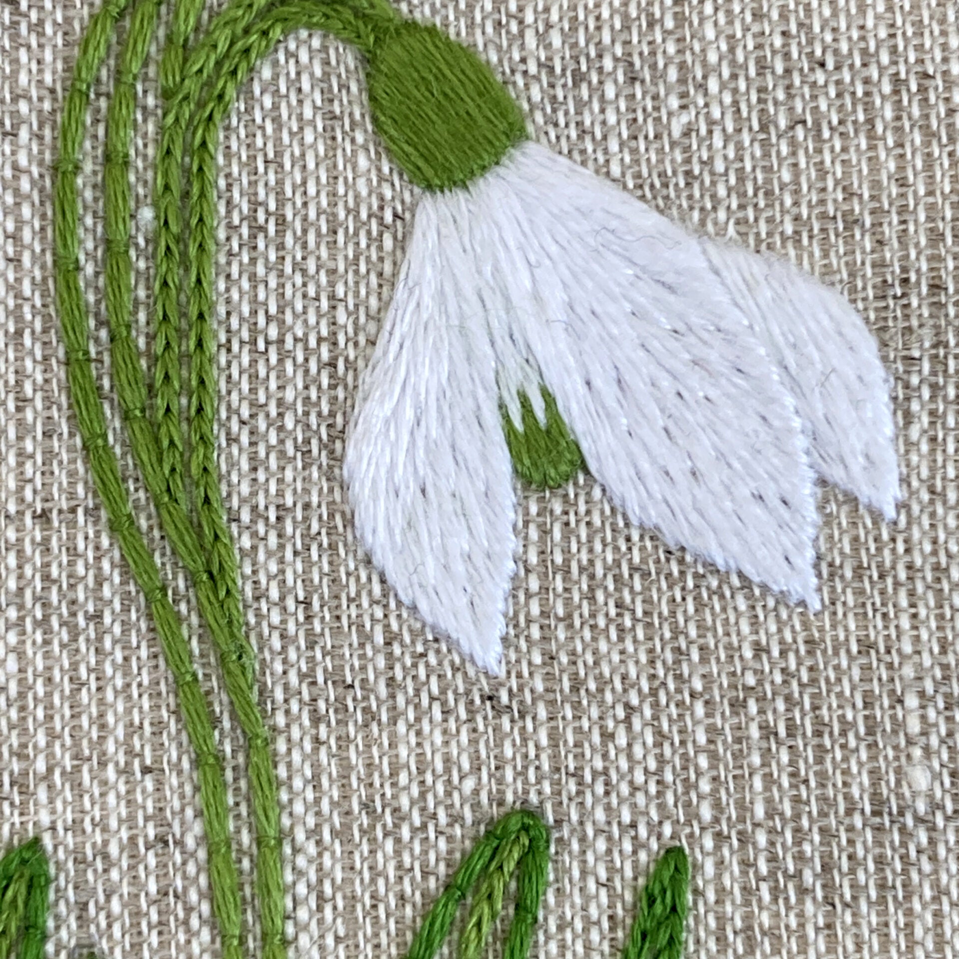RSN A Year in Flowers:  January - Snowdrop Embroidery Kit