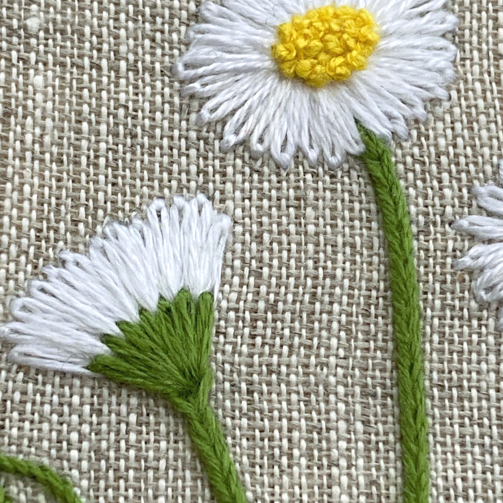 RSN A Year in Flowers:  April - Daisy Embroidery Kit by Natalie Rowe