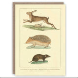 The Pattern Book Vintage Greetings Cards