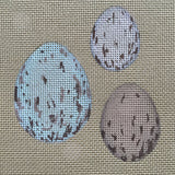 Hand Painted Egg Collection Embroidery  Kit by Jacqui McDonald