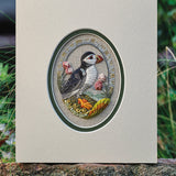 Enchanted Embroidery: The Stitched Art of Jenny Adin-Christie (Hardback)