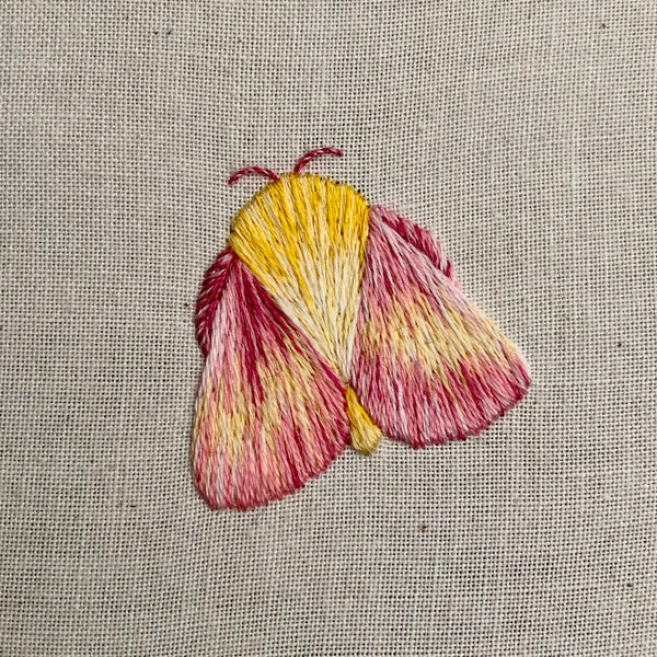 Jessica Aldred – Introduction to Silk Shading- Friendly Moth