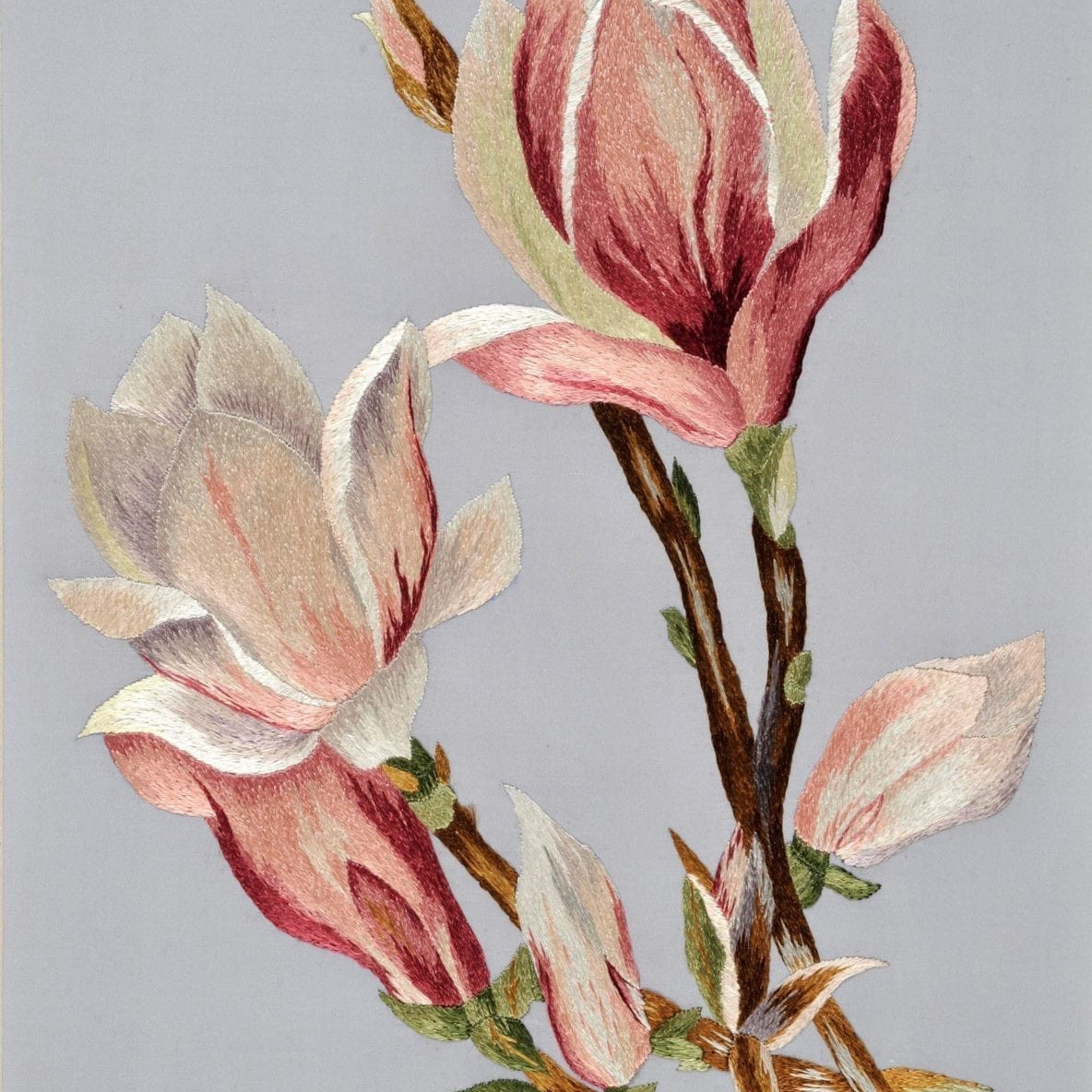 Magnolias in Silk shading Greetings card