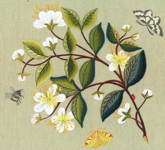 Myrtle Blossom by RSN Tutor Nicola Jarvis 3