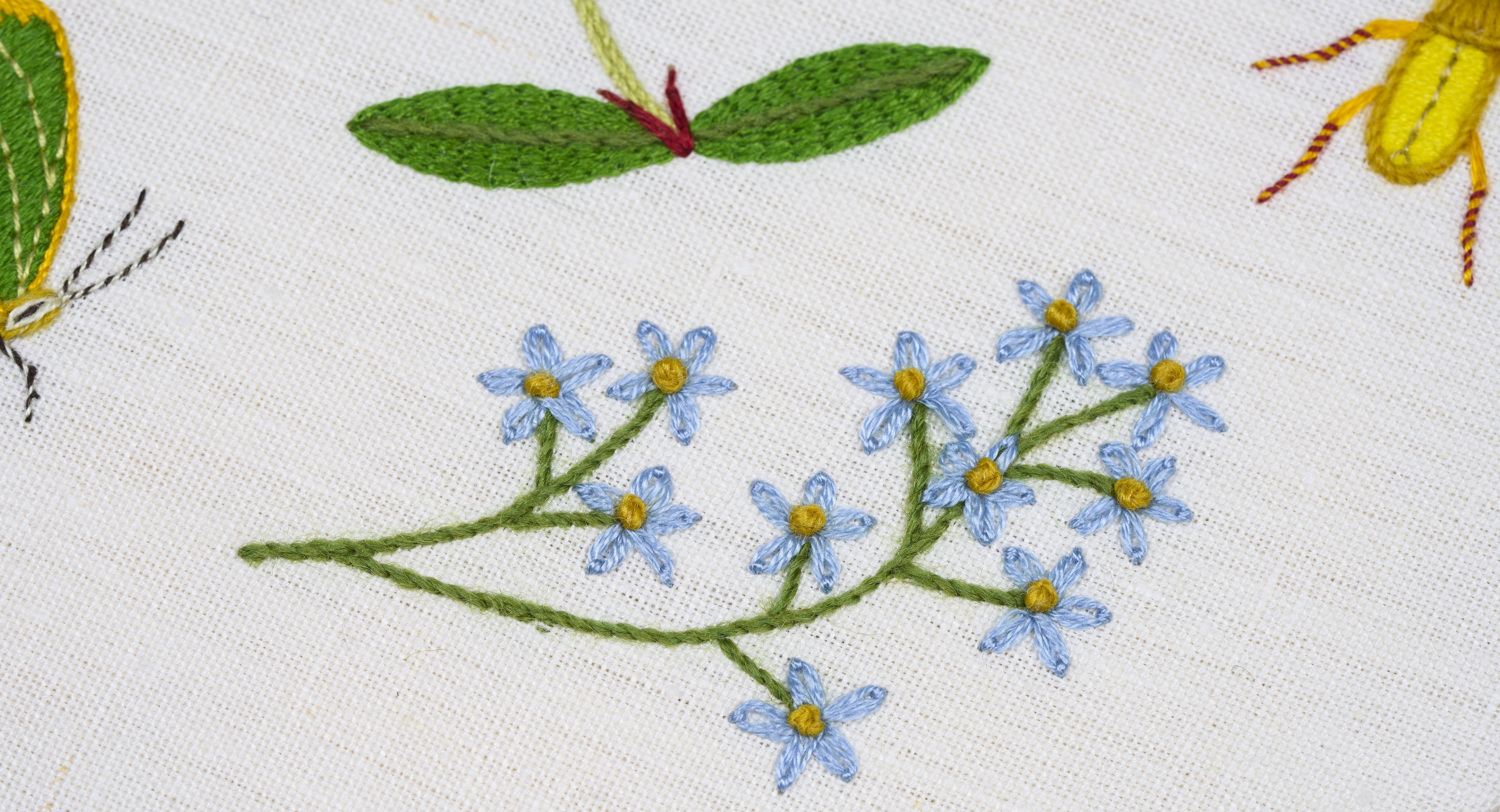 Native Meadow and Grassland Sampler with Natalie Rowe