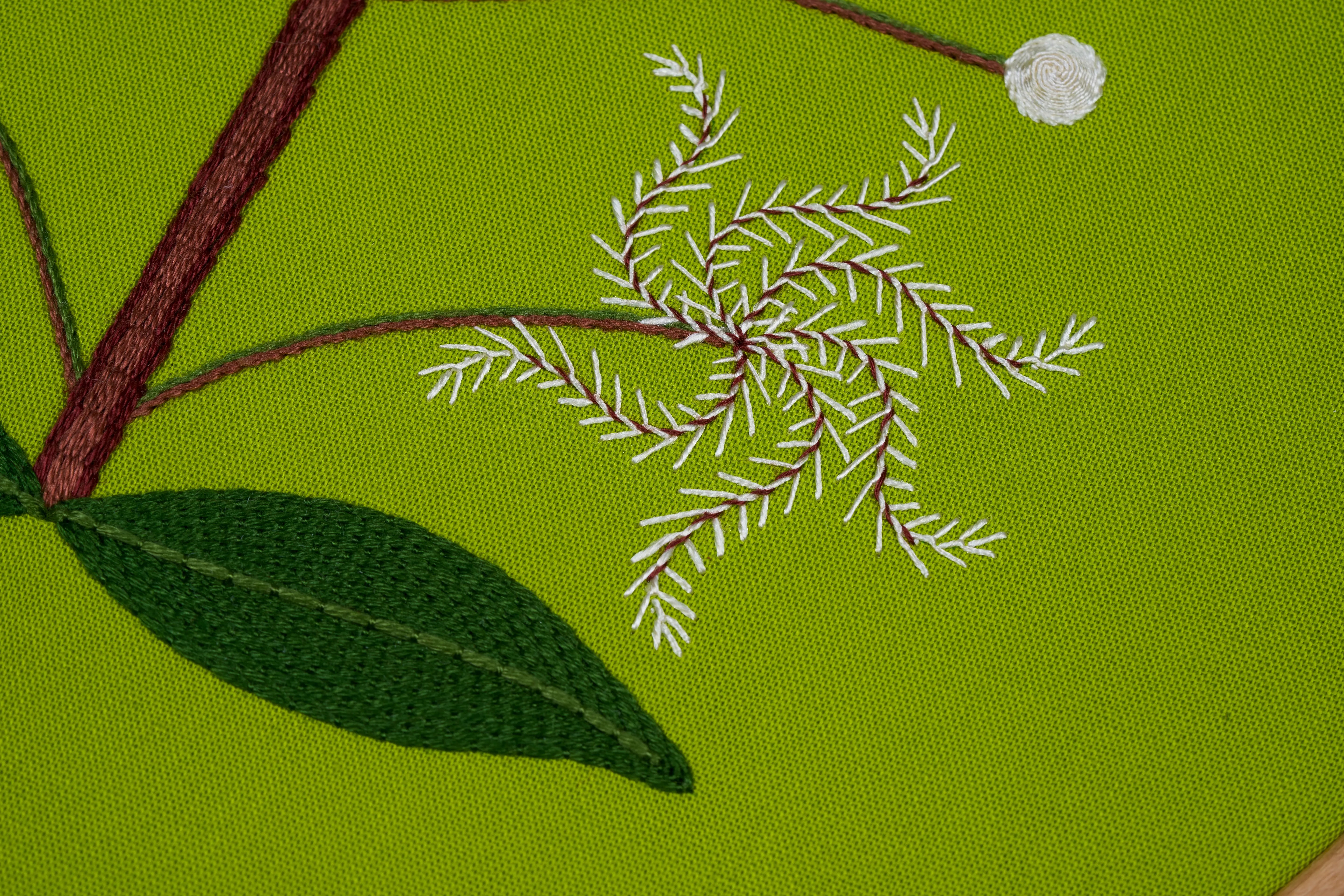 Native Wildflower: Traveller’s Joy with Natalie Rowe