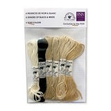 Multi buy RSN Exclusive: Silk Thread - Soies D'Alger by Au Ver A Soie ® Complete Colour Palette