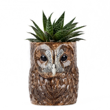 Pencil Pots by Quail Ceramics