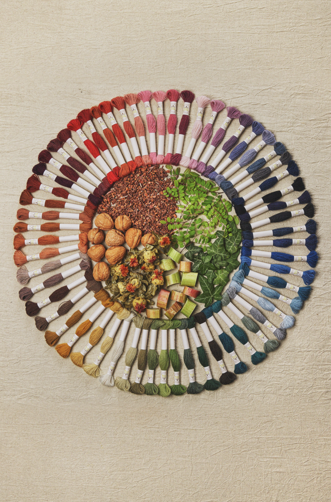 Slide image