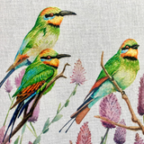 Silk Shading Rainbow Bee Eaters