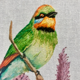 Silk Shading Rainbow Bee Eaters