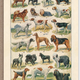 The Pattern Book Vintage Greetings Cards