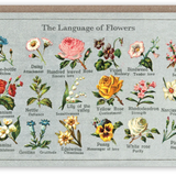 The Pattern Book Vintage Greetings Cards