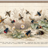 The Pattern Book Vintage Greetings Cards