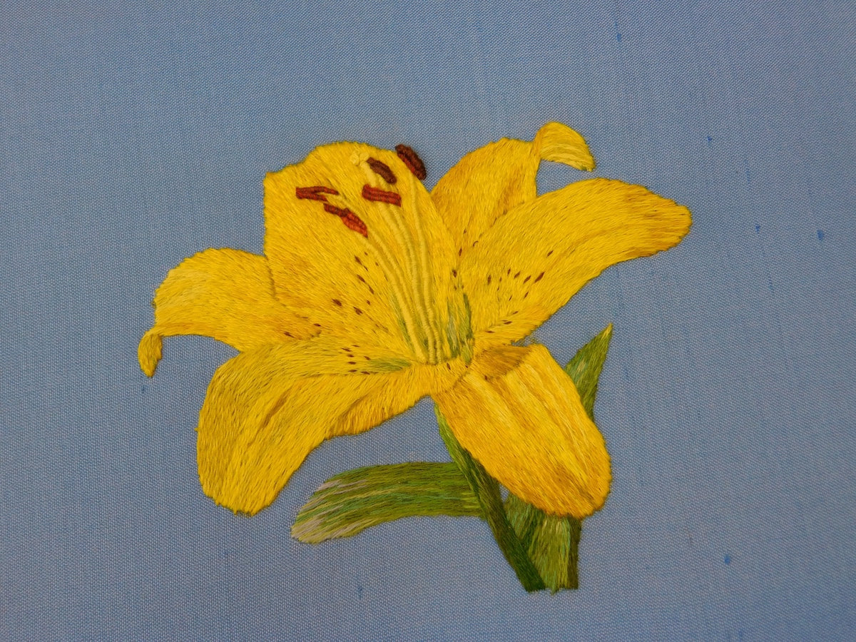 Slide image