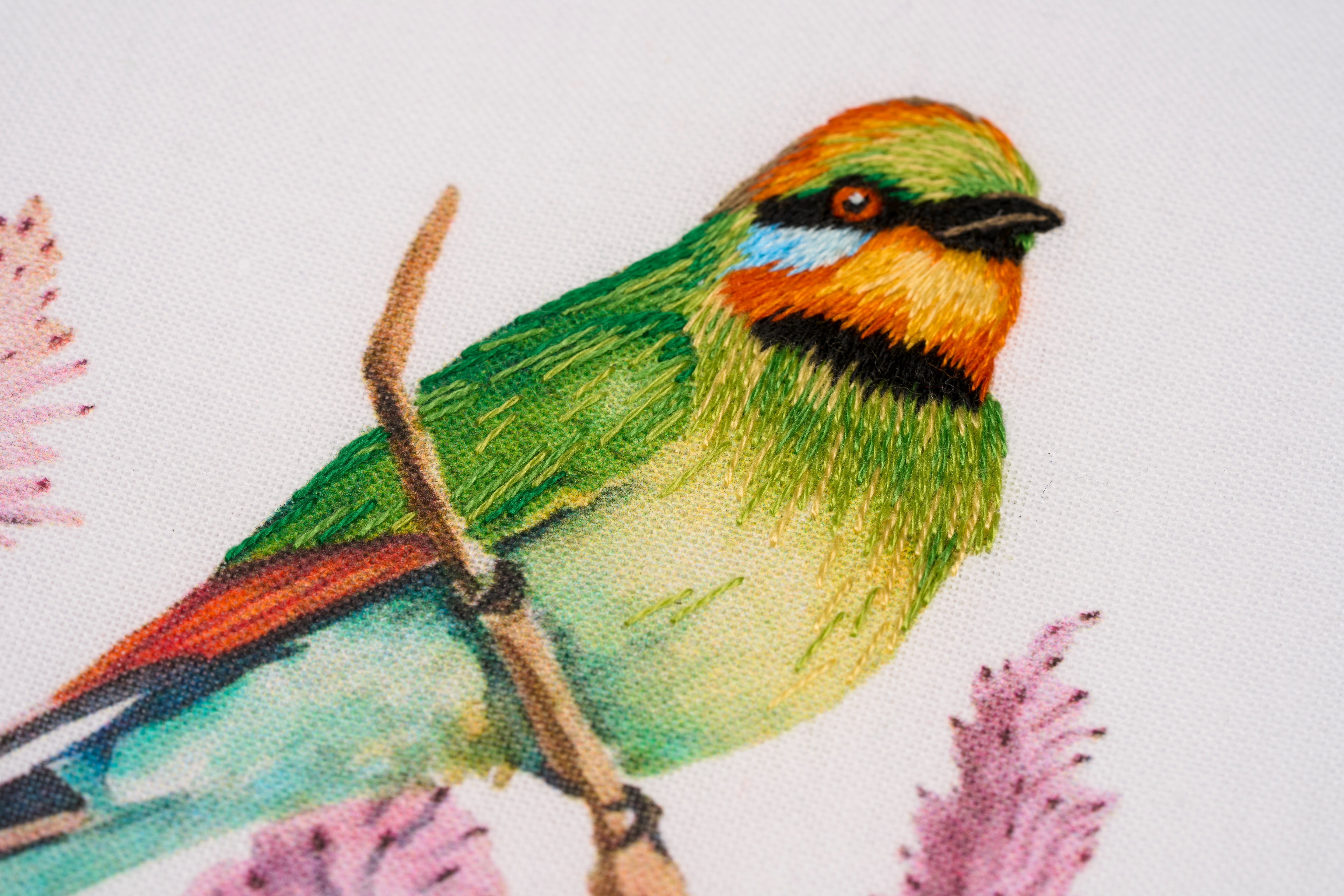 Silk Shading Rainbow Bee Eaters with Helen Richman