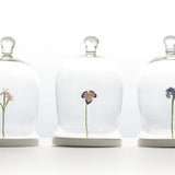 Trio of Flower Specimens by Hattie McGill