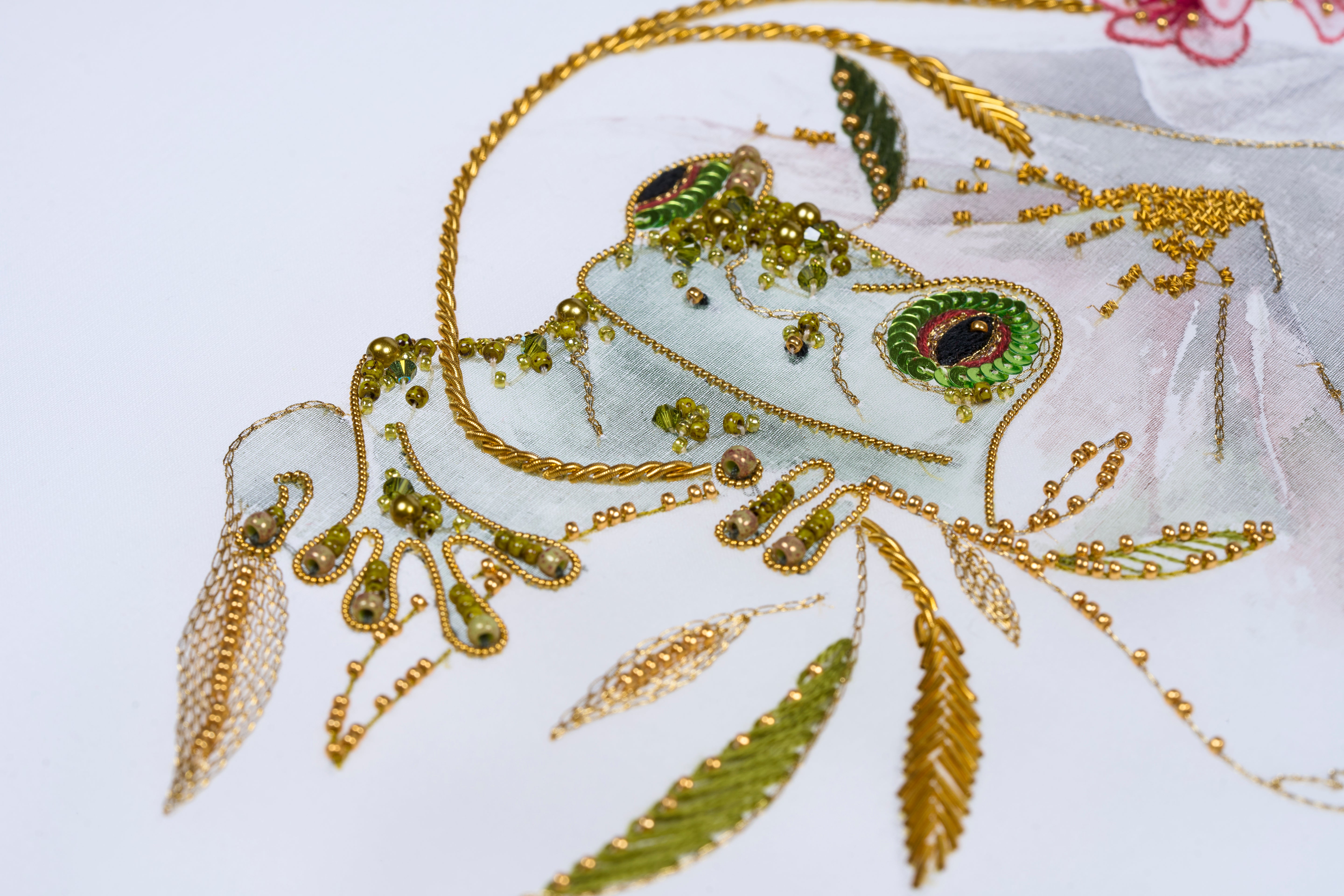 Where the Frog Dreams with Eliza Gomersall