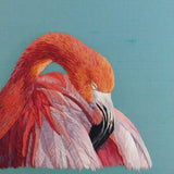 Felipe Flamingo Greetings Card