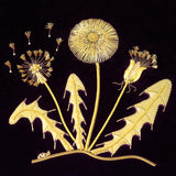 RSN Studio: Dandelion and Ladybird Goldwork Embroidery Kit