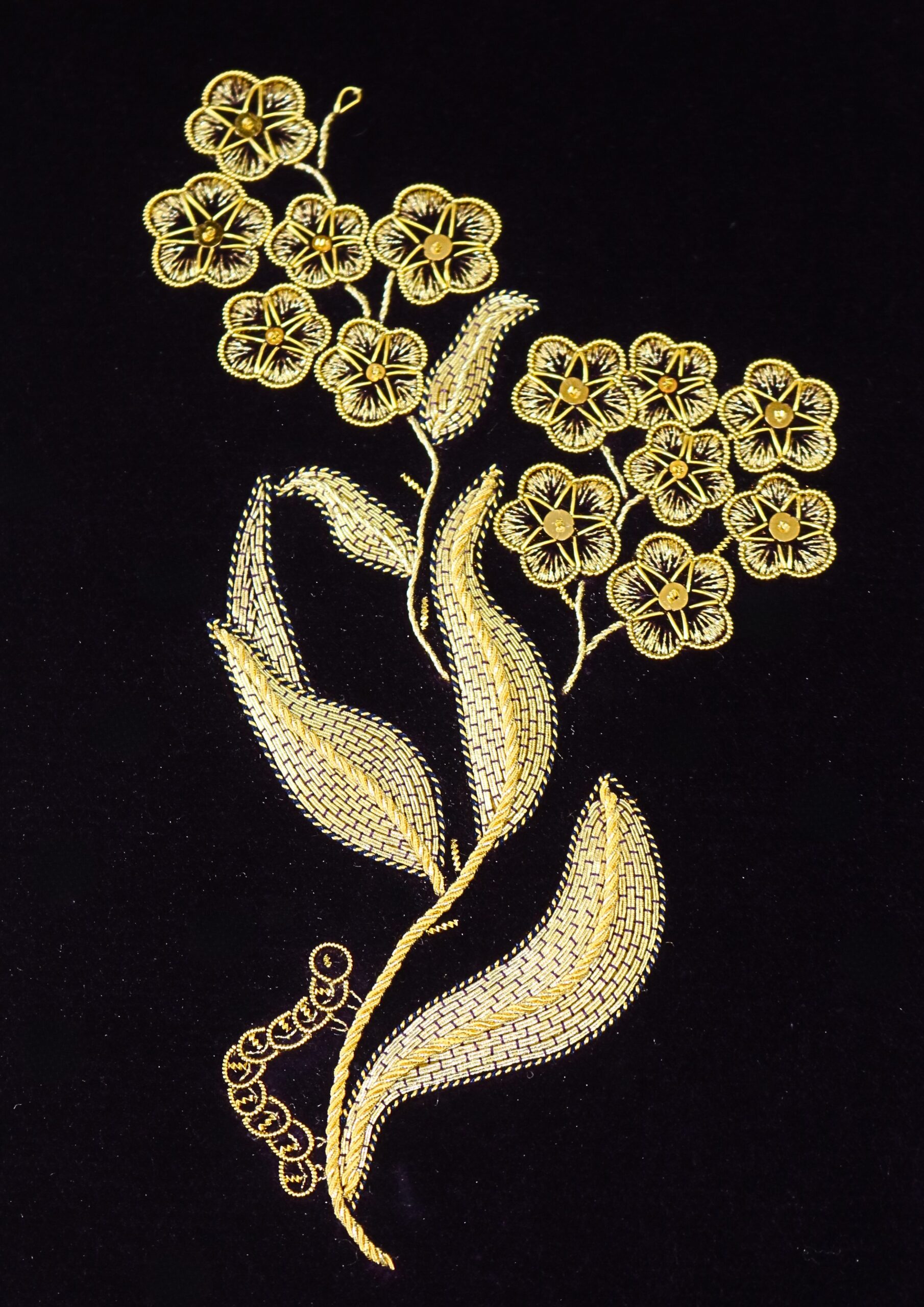Slide image