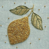 RSN Exclusive Gold Lemon Embroidery Kit