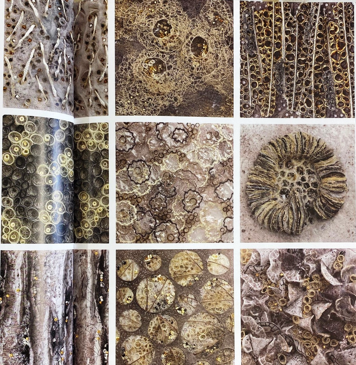 Textures From Nature in Textile Art by Marian Jazmik example page close up